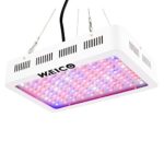 Weico 300w LED Grow Light Full Spectrum for Indoor Veg and Flower, Hanging Plants Growing Lights with Heatproof Casing Used in Greenhouse Garden Hydroponic