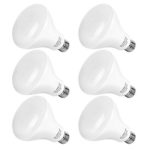 SHINE HAI BR30 LED Light Bulbs, 65W Equivalent LED Light Bulbs, 3000K Warm White E26 Base Bulbs, Non-dimmable, UL-listed Flood Lighting Bulbs, 6-Pack