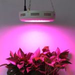 Roleadro 180W Hydroponic UFO LED Indoor Patio Plants Grow Light Lamp