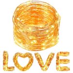 60 LED String Lights, DecorNova Super Bright Color Wire Rope Lights Battery Operated on Long Copper Color Ultra-Thin String Copper Wire for Home Party ,9.8 feet, Warm White , 8 Set