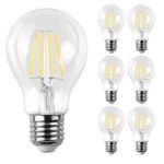 Ascher E26 LED Classic Light Bulbs / 6W, Equivalent 60W , 800lm / Daylight White 5000K / Filament Clear / Non Dimmable / Pack of 6