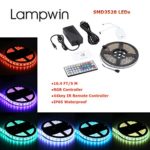 Lampwin 16.4FT DC12V Flexible RGB LED Strip Light Kit with IP65 Waterproof 300 Units SMD 3528 Color Changing LED Rope Light, Multi-color 44 Key IR Remote Controller, DC 12V 2A Power Supply Adapter