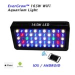 EVERGROW 100% programmable 165 Watt Aquarium Coral Reef LED Grow Light , 55×3 Watt Dimmable full spectrum with WIFI controller for iphone, android phone + FREE hanging kit – One Year Warranty