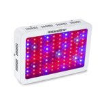 HollandStar LED Grow Light 1000W,Plant Grow Lights/Growing Bulbs For Garden Greenhouse and Hydroponic Full Spectrum Growing Lamps in 9 Bands (1000W-B)