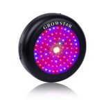 UFO Led Grow Light, Growstar 300W Full Spectrum Plant Light with Cree COB and Switch for Indoor Plants Seeding, Growing and Flowering. (300w)