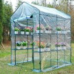 Green House 5′ x 5′ x 6′ Portable Greenhouse Walk-In Plant Garden