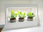 Topoter 10W Full Spectrum Plant Grow Light with Power Adapter for Indoor Plant Veg Flower Seeds,Mini Garden Frame LED Grow light(30LED,Rectangle)