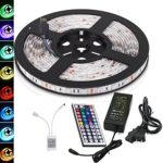 LED Strip Lights, LOWELLTEK Waterproof SMD 5050 16.4Ft/5M 300LEDs with 44Key Remote Controller+12V/5A Power Supply RGB Color Changing Flexible LED Rope Lights for Holiday Party Outdoor Decoration