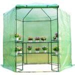 Walk in Portable Greenhouse 7.5′ Outdoor Gardening Plant