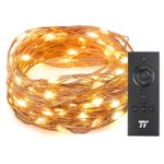 33ft 100 LED String Lights With RF Remote Control, Super Soft Copper Wire?TaoTronics Waterproof Outdoor And Indoor Decorative Lights For Bedroom, Patio, Garden, Gate, Yard, and More