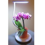 Multi-function LED Desktop Plant Lamp with white UL Adapter