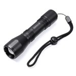 [Rechargeable] INFRAY 800 lumens LED Flashlight, Small Torch, Super Bright CREE LED, Zoomable Flash light with Built-in 18650 Battery, IP65 Water Resistant, 5 Modes (Camping, Hiking and Emergency Use)