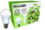 Miracle LED Almost Free Energy 100W Spectrum Grow Lite – Daylight White Full Spectrum LED Indoor Plant Growing Light Bulb for DIY Horticulture, Hydroponics, and Indoor Gardens (604293) Single Pack