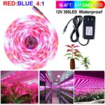 SPARKE LED Plant Grow Light Strip,16.4ft/5m 5050 Waterproof Full Spectrum Red Blue 4:1 DC 12V Growing Lamp with 3A Power Adapter for Aquarium Greenhouse Hydroponic Vegetable Flowers Seeds Growth