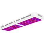 Dimgogo 2400w Double Chips LED Grow Light Full Spectrum Grow Lamp for Greenhouse and Hydroponic Indoor Plants Veg and Flower (10w Leds)