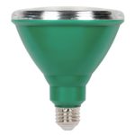 Westinghouse 3314900 100-Watt PAR38 Flood Outdoor Weatherproof LED Light Bulb with Medium Base, Single 100 Watt Equivalent Green 33149