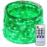 ER CHEN(TM) 165ft Led String Lights,500 Led Starry Lights on 50M Silver Coating Copper Wire String Lights + 12V DC Power Adapter + Remote Control(Green)