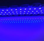 SMD 5050 20pcs 3 LED Blue Light Led Modules DC12V Waterproof for Advertisement Design, LED Box BackLighting