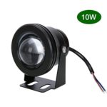 COOLWEST 10W IP67 Waterproof LED Floodlight Landscape Swimming Pool Fountain Pond Lamp,DC/AC12V Warm White