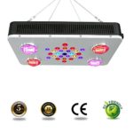 LED Grow Light for Plants Full Spectrum Growing Lamp LED Grow Light for Marijuana 12 Band Dimmable COB BloomBeast C525 525w Hydroponic Greenhouse LED Grow Light for Seedling/Veg/Flower/Bloom