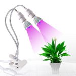 Roleadro Dual-head LED Plant Grow Light, Upgraded 10W Detachable Desk Clip Grow Lamp Bulbs with Adjustable Gooseneck and Double on/off Switch for Indoor Greenhouse Office Plants