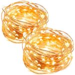 LED String Lights 33 ft with 100 LEDs, TaoTronics Waterproof Decorative Lights for Bedroom, Patio, Parties ( Copper Wire Lights, Warm White )-2pack