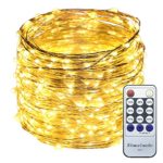 ER CHEN(TM) 165ft Led String Lights,500 Led Starry Lights on 50M Silver Coating Copper Wire String Lights + 12V DC Power Adapter + Remote Control(Warm White)