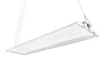 Durolux DLED848W LED Grow Light | 4 Feet by 1 Foot | 320W (0.5 W x 640 Pcs) with White 5500K FullSun Spectrum and 40000 Lux Great for Seeding and Veg Growing! Over 50% Energy Saving!