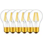 Vintage Edison LED Light Bulb A19 2700K Warm White E26 Base Dimmable 4W Equivalent 40W ( Pack of 6)