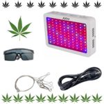 LED Grow Light, Hilldan 1000W Double Chips Full Spectrum Grow Lamp with UV&IR for Greenhouse Hydroponic Indoor Plants Veg and Flower All Phases of Plant Growth (white)