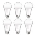TIWIN Upgraded 100 Watt Equivalent(13W), Daylight(5000K), Non-Dimmable, A19 E26 LED Light Bulbs, 6-Pack