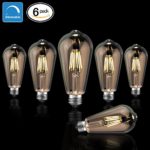 LED Edison Light Bulbs 60W Equivalent Halogen Replacement Dimmable E26 Base Vintage Filament Pendant Light Bulbs 5000K Daylight White 6W Antique Commercial Island Light Bulbs 600lm 6 Pack by COOWOO