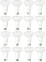 AmazonBasics 65 Watt Equivalent, Soft White, Dimmable, BR30 LED Light Bulb | 16-Pack