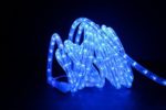Direct-Lighting GRL-24-BL Blue 24ft LED Rope Light