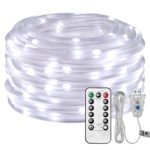 LE 33ft 100 LED Dimmable Rope Lights, USB Powered Waterproof Rope lighting, 8 Lighting Modes/Timer, Outdoor Ambiance Lighting Ideal for Patio Gardens Parties Wedding Holiday Decor (Daylight White)