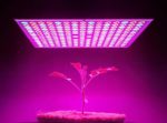 POWERBIO Full Spectrum Led Grow Light for Indoor Plant, Hydroponic Gardening, Green House UV, IR, Red, Blue Grow Light (50W)