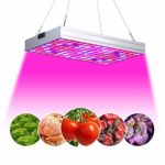 Venesun 150W LED Grow Light Full Spectrum with UV & IR, No Noise Plant Grow Lamps with Daisy Chain for Indoor Plants. Energy-efficient, Works for All Stages-2018 New