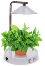 Mindful Design Multi LED Indoor Herb Garden – Grow Light for Plants & Vegetables