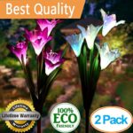 Solar Garden Stake Lights Outdoor,2 Pack Solar Powered Lights with 8 Lily Flower, Multi-Color Changing LED Solar Landscape Lighting Light for Decorating The Path, Yard, Lawn,Patio (White and Purple)