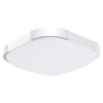 Drosbey 24W LED Flush Mount Ceiling Light, 12in, 240W Incandescent Bulbs Equivalent, 3000 Lumens, 5000K Daylight White, Round Lighting Fixture for Kitchen, Hallway, Bathroom, Bedroom