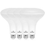 Great Eagle R40 or BR40 LED Bulb, 17W (100W Equivalent), 1400 Lumens, Brighter Upgrade, 5000K Daylight Color, for Recessed Can Use, Wide Flood Light, Dimmable, and UL Listed (Pack of 4)
