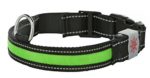 Light up Rechargeable LED Nylon Dog Collar with 3 Light Settings and Strong Buckle – Includes USB Charger – Keep Pet Safe and Visible 3 Sizes (Small, 1 x 15.5 in, Green)