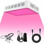 HIGROW 1000W LED Grow Light White, Double Chips Full Spectrum LED Plant Light with Daisy Chain|Rope Hanger|Switch for Indoor Greenhouse Hydroponic Plants Veg and Bloom