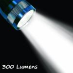 LudoPam LED Bulb Upgrade Conversion 300LM for 3 4 5 6 Cell C/D Maglite Flashlight
