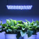 Triprel Inc Lightweight 225 Ultra-thin White LED Grow Light Panel w/ Powerful UFO SMD LEDs for Hydroponic Indoor Garden