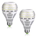27W (250 Watt Equivalent) A21 Omni-directional Ceramic LED Light Bulbs, 3500 Lumens, 5000K Daylight, E26 Medium Screw Base Floodlight Bulb, Home Lighting, 5-year Warranty, Non-dimmable, SANSI (2 PACK)