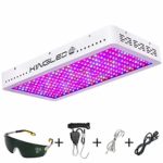 King Plus 3000W LED Grow Light Full Spectrum for Greenhouse and Indoor Plant Veg and Flower (Dual-Chip 10w LEDs)