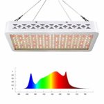 LED Grow Light 1000W Full Spectrum, Sunlike 3500K White Grow Light for Indoor Plants Seedling Growing Blooming Fruiting with Adjustable Hangers- ONEO II