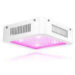LED Grow Light 600W – Carambola Full Spectrum Growing Lamp for Hydroponic Indoor Plants Veg and Flower