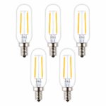 OPALRAY T25 DC 12V LED Tubular Bulb, 2W Dimmable with 12V and 0-10V DC Dimmer, 2700K Warm White Light, E12 Small Base, 25W Incandescent Equivalent, Solar System 12Volt Battery Power, 5-Pack